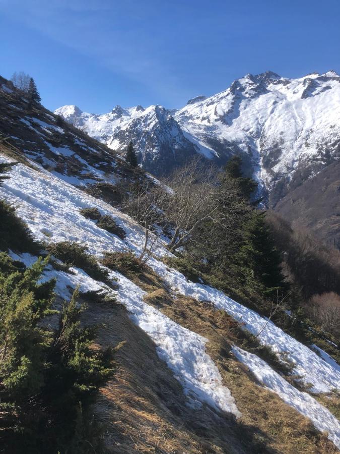 La Petite Maison Des Montagnes Luz-Saint-Sauveur Esterno foto